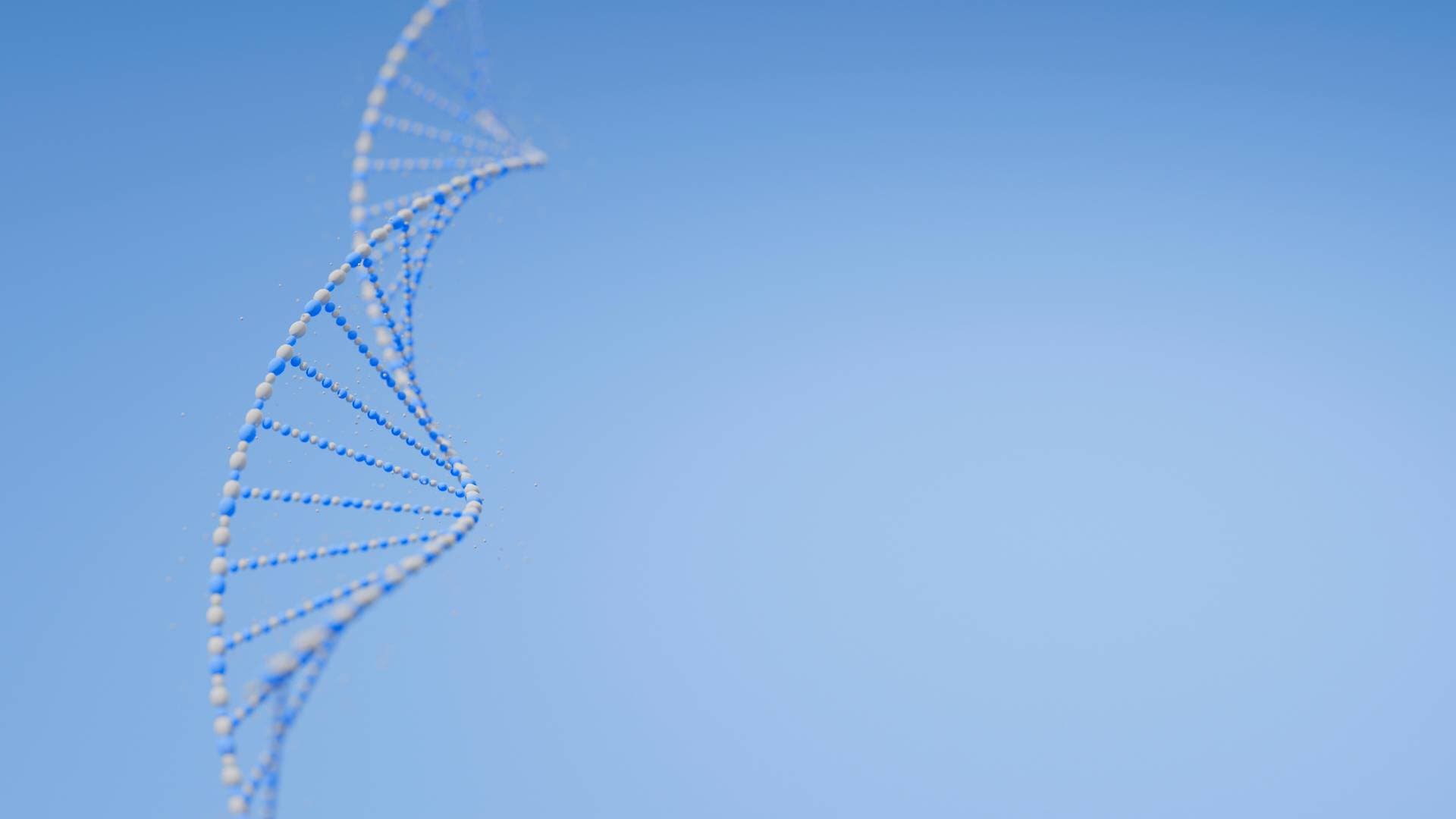 banner bg